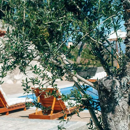 Just Like - Muirfield House Em * Caminha