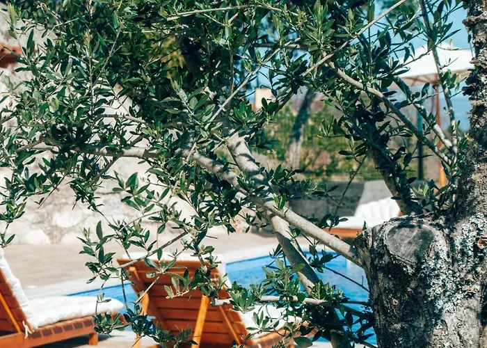 Just Like - Muirfield House Em * 카민하